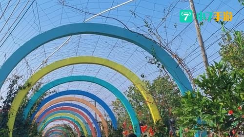 2144开心农场