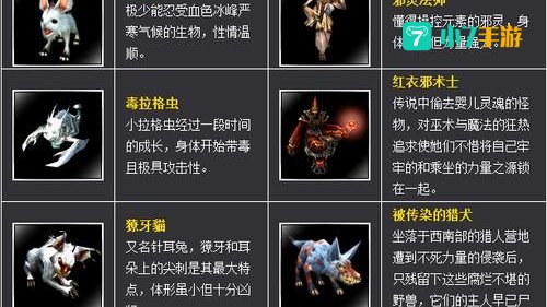 新惊天动地光环